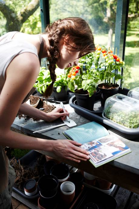 green basics plantlabels s (set/5) wit